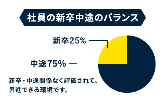 社員の新卒中途のバランス